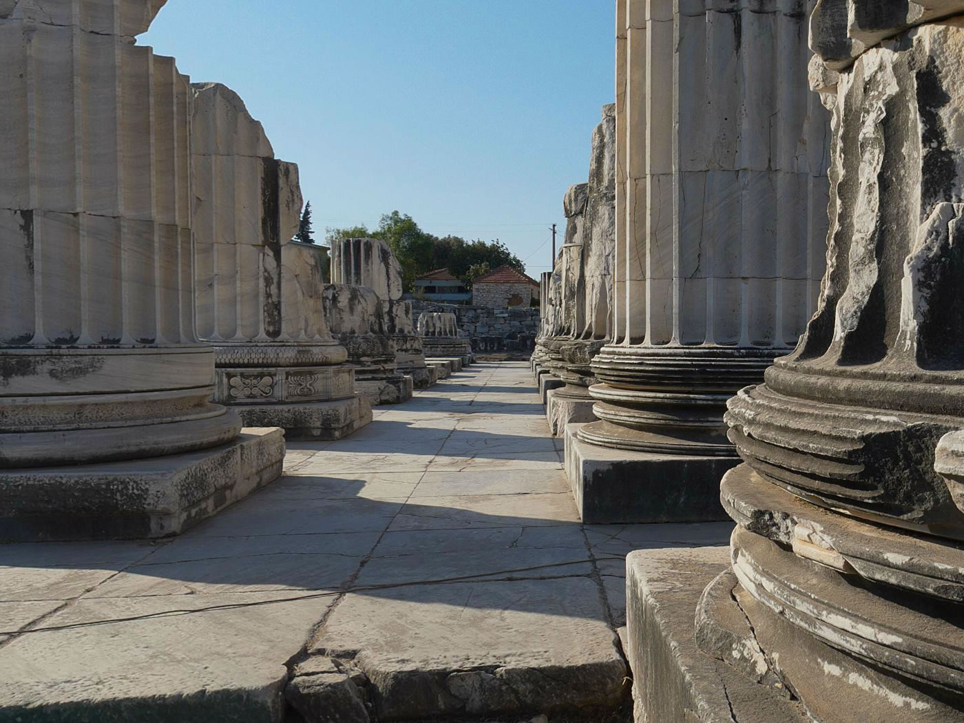 4 Day Ephesus Pamukkale Pergamon Priene Miletus Didyma Tour From Istanbul 6