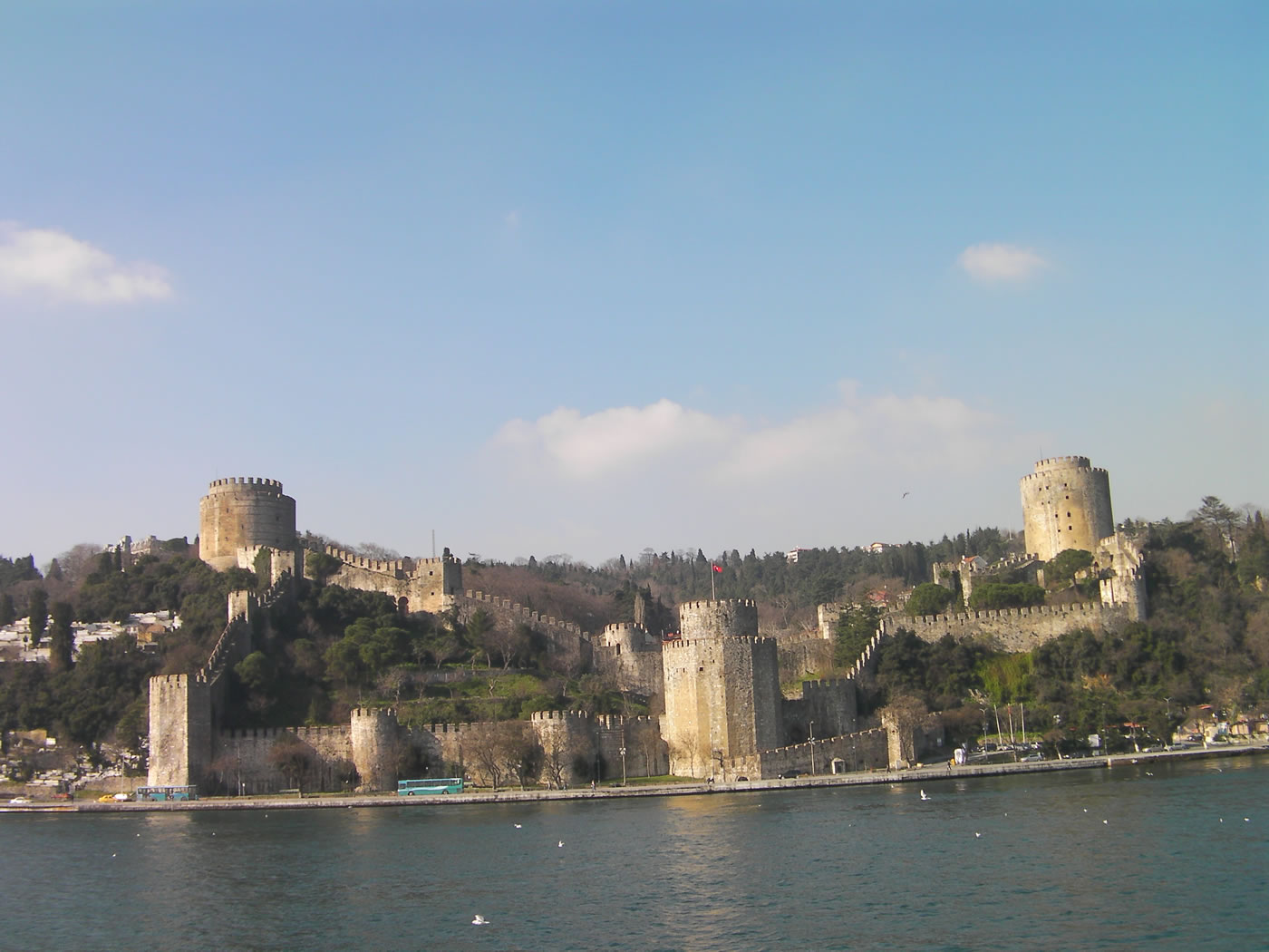 Bosphorus Cruise And Dolmabahce Palace Tour 5