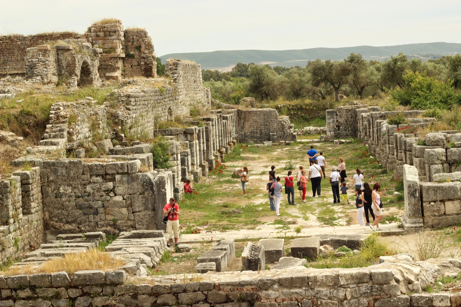 Priene, Miletus And Didyma Tour 2